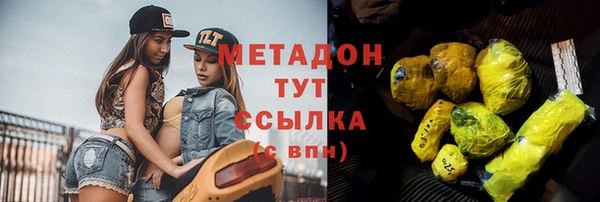 шишки Арсеньев