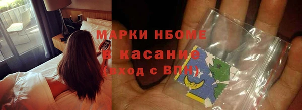 шишки Арсеньев