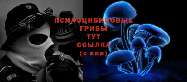шишки Арсеньев