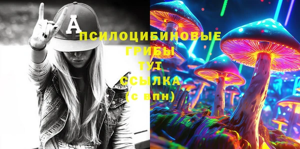 эйфоретик Аркадак