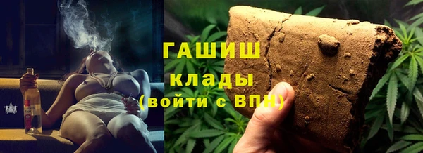 шишки Арсеньев