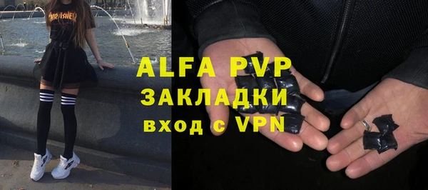 шишки Арсеньев